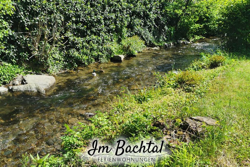 Ferienwohnung Im Bachtal Pommern エクステリア 写真