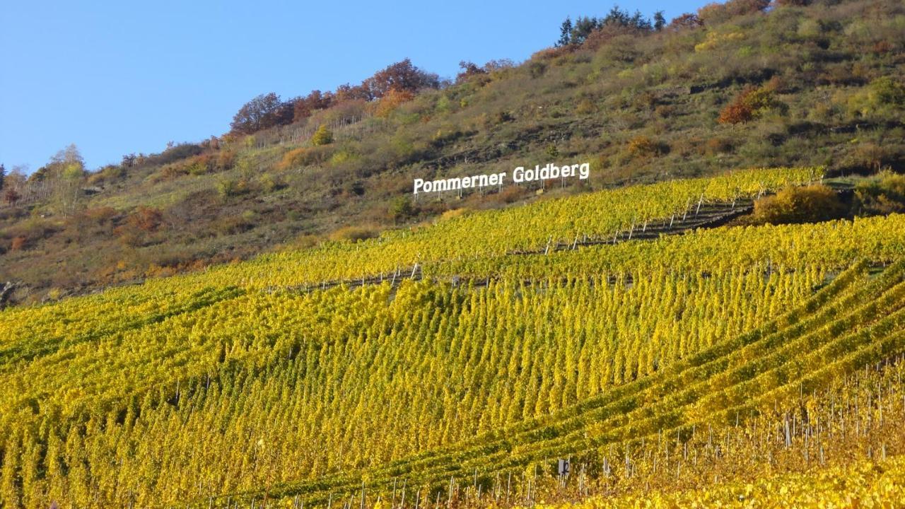 Ferienwohnung Im Bachtal Pommern エクステリア 写真