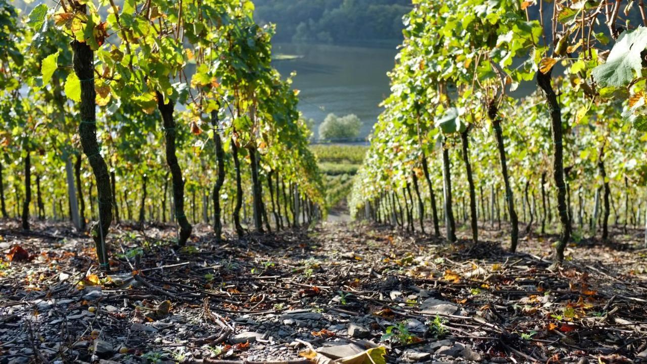 Ferienwohnung Im Bachtal Pommern エクステリア 写真